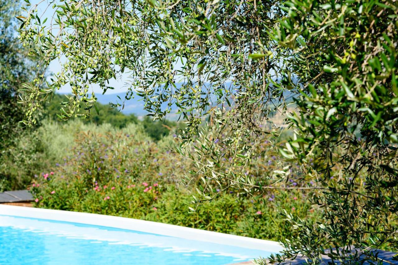 Agriturismo La Pieve Pelago Exteriör bild