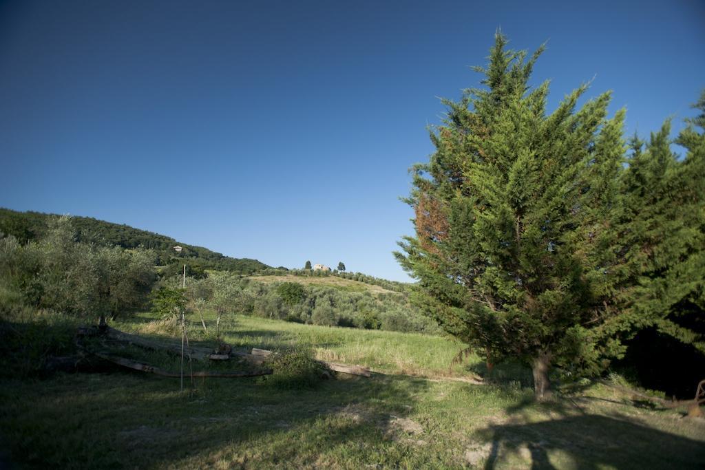 Agriturismo La Pieve Pelago Exteriör bild